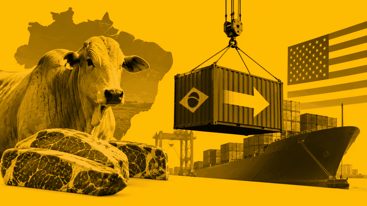 GAFFFF 2026 discute rastreabilidade e geopolítica nas exportações brasileiras