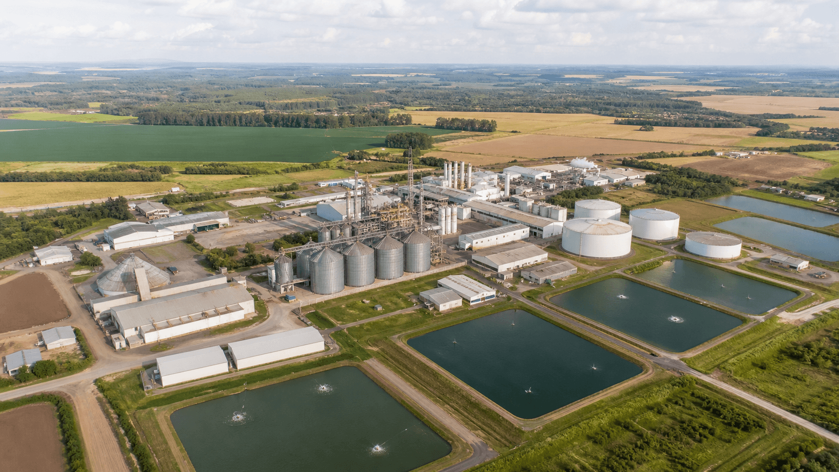 Ministério da Agricultura sugere inclusão de agronegócio no Brasil Soberano II
