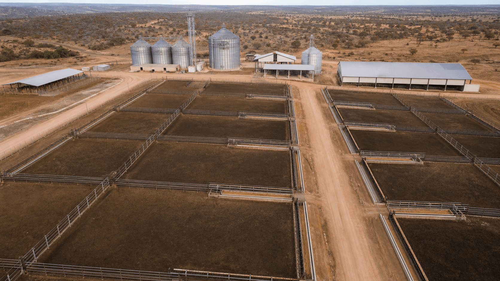Intenções de confinamento em Mato Grosso caem 7,71% em 2026