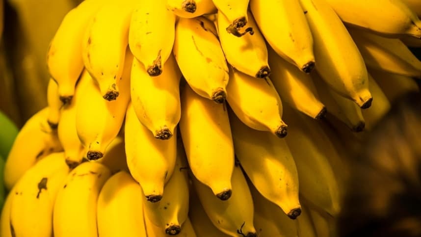 Onda de calor: previsão de impacto na oferta de bananas