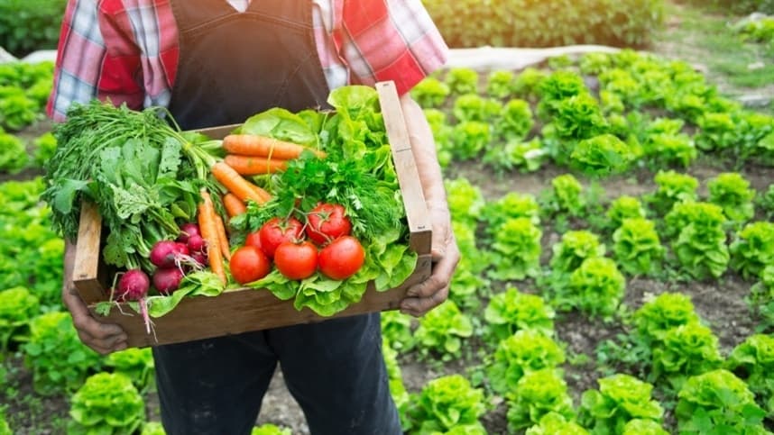 PPAIS impulsiona agricultura familiar com R$ 100 milhões em 2026