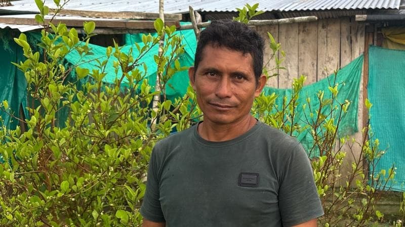 Agricultor colombiano volta a cultivar coca após falta de apoio