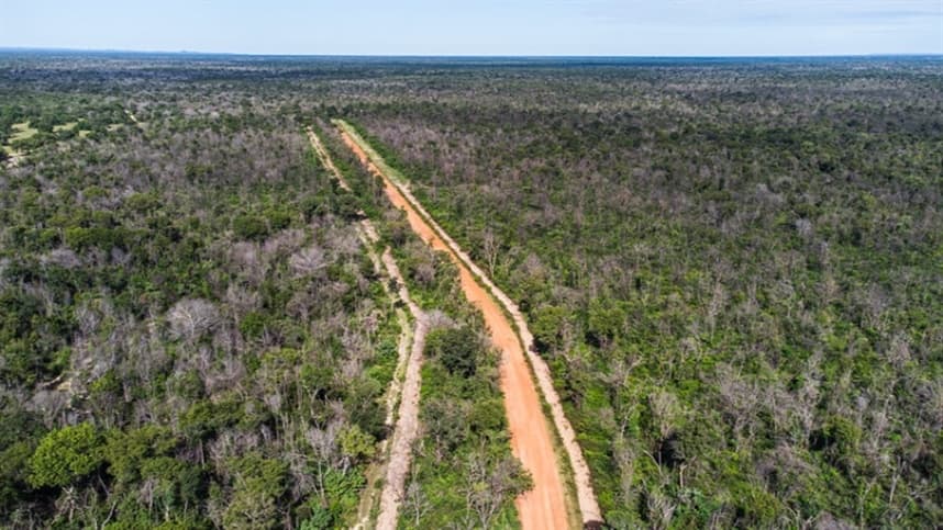 Novas regras sobre aceiros no Pantanal visam proteção contra incêndios