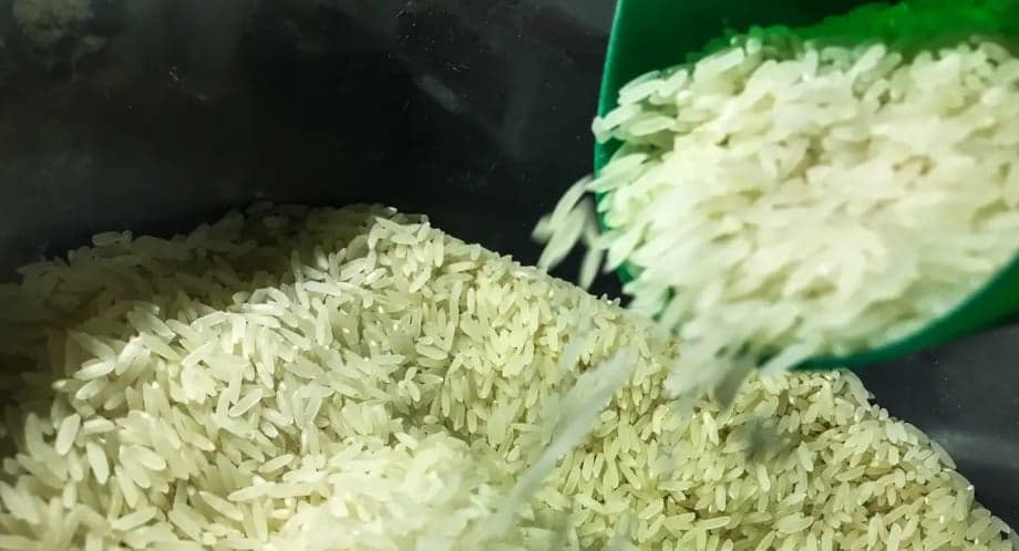 Preços do arroz em casca sobem no Rio Grande do Sul, mas com leve desaceleração