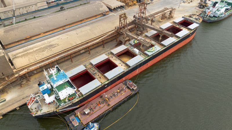 Soja brasileira tem exportações estáveis e preços crescentes em 2026