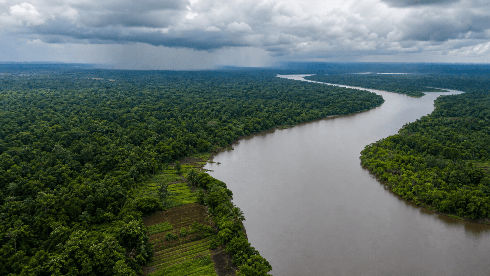 Projeto de Lei amplia segurança alimentar na Amazônia Legal