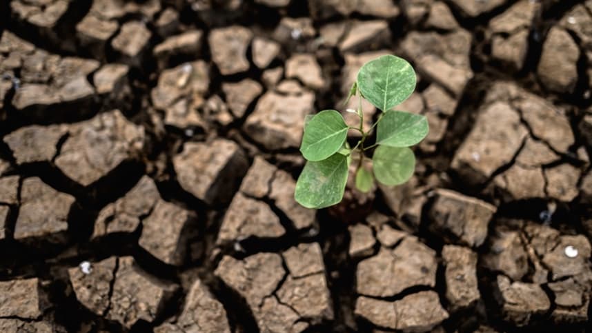 Especialistas debatem resiliência climática na Feira Brasil na Mesa