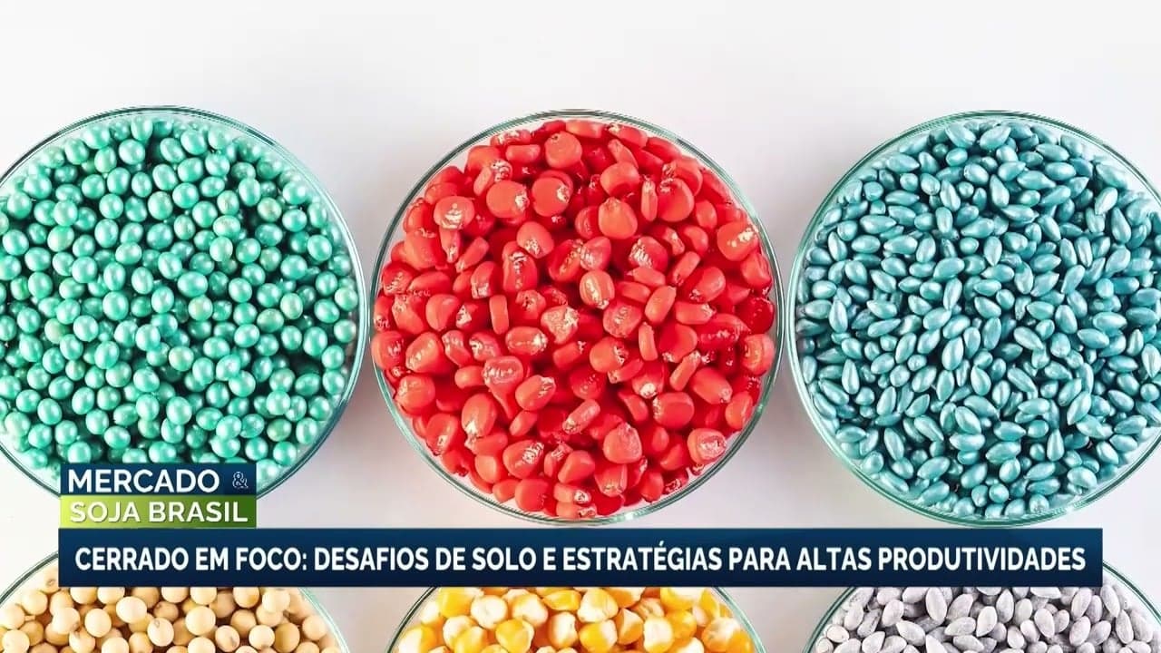 Tratamento de sementes é vital para a agricultura no Cerrado