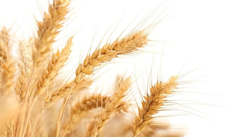 Incertezas no mercado agrícola elevam custos de produção