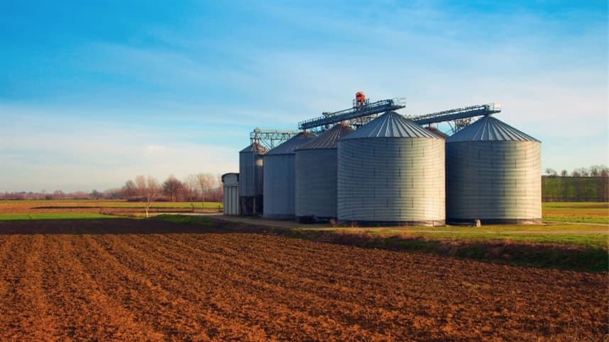 Soja no Brasil: Problemas de armazenagem impactam qualidade e custos