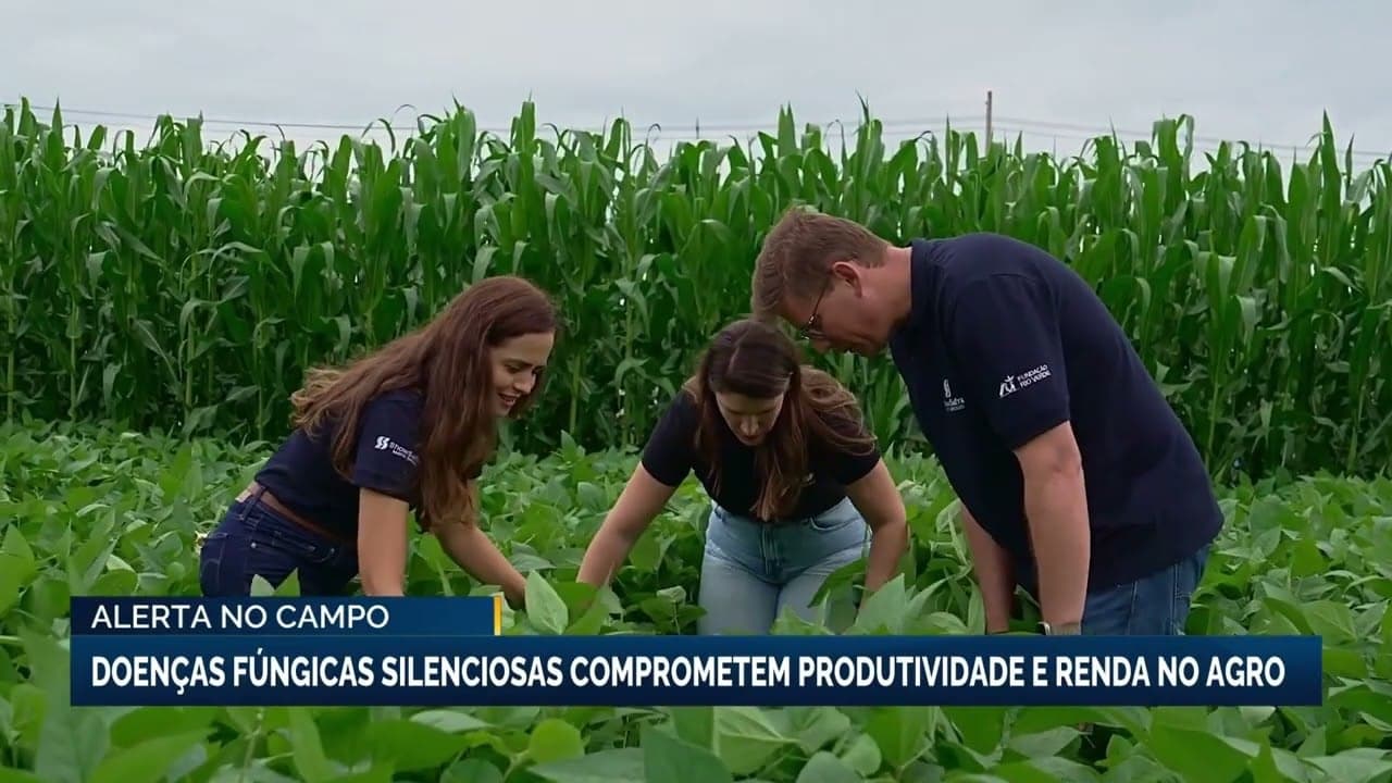 Doenças fúngicas ameaçam produtividade em lavouras brasileiras