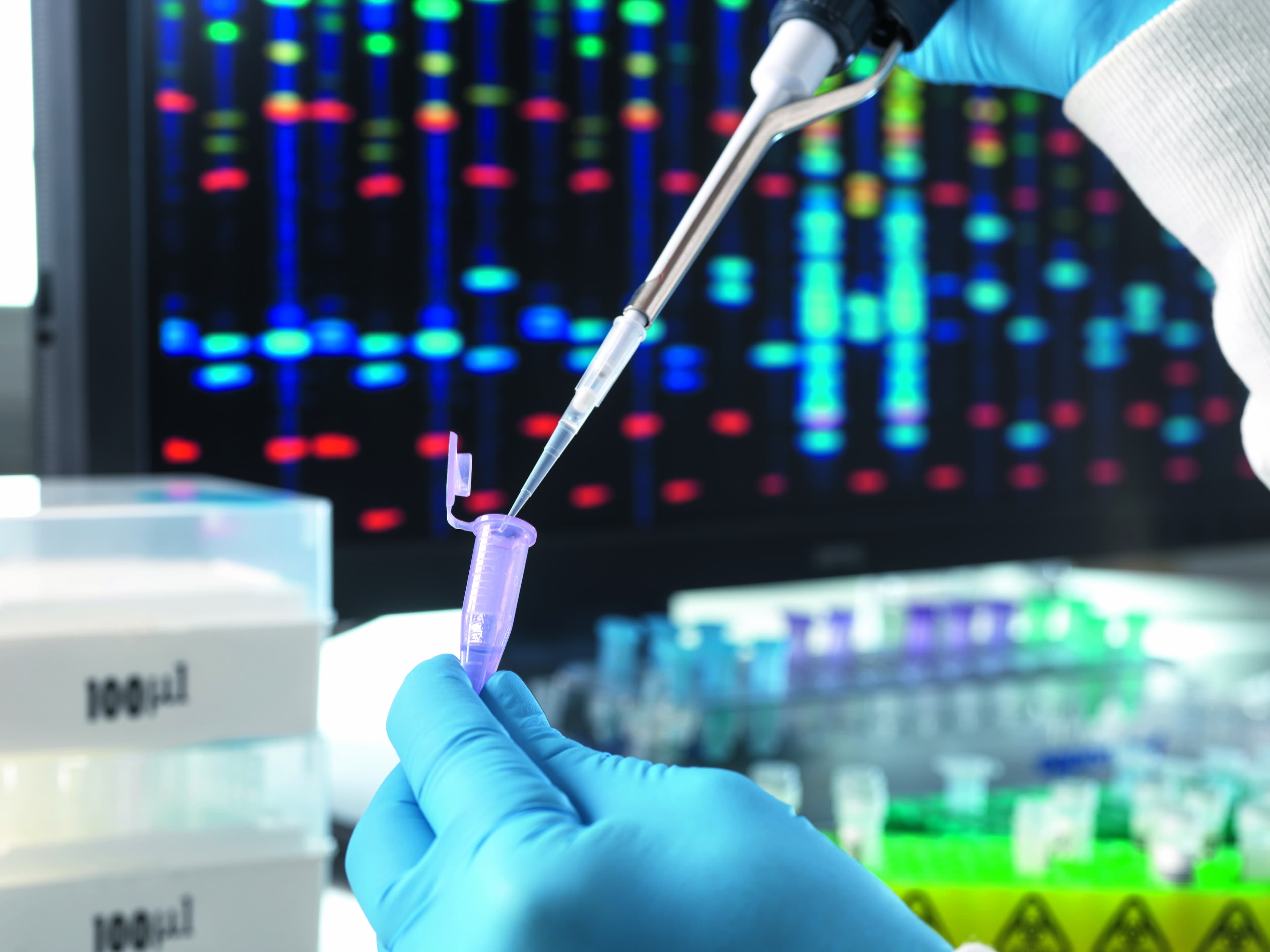 Ministra discute regulamentação de bioinsumos e agrotóxicos em 2026