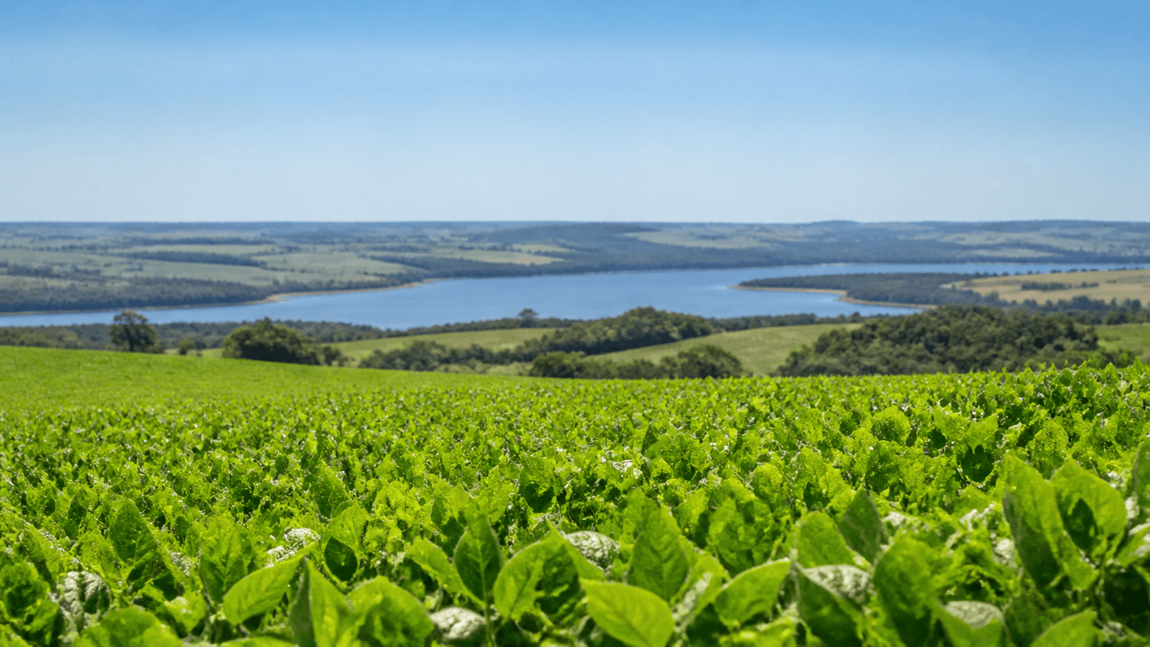 Calor acima da média atinge Orleans e Braço do Norte em SC