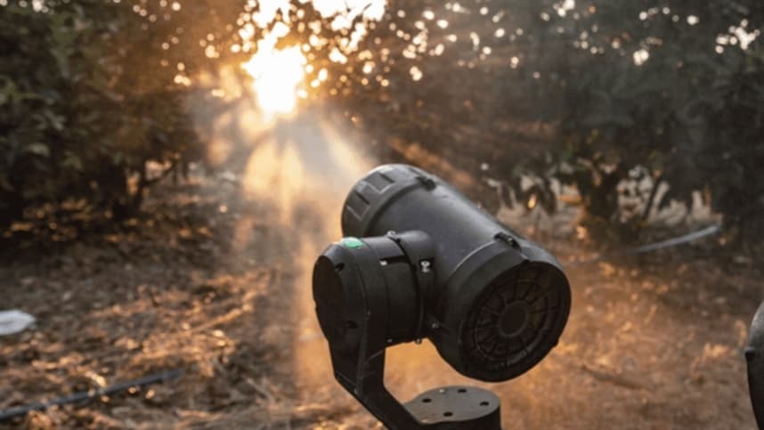 A importância dos robôs na polinização de árvores