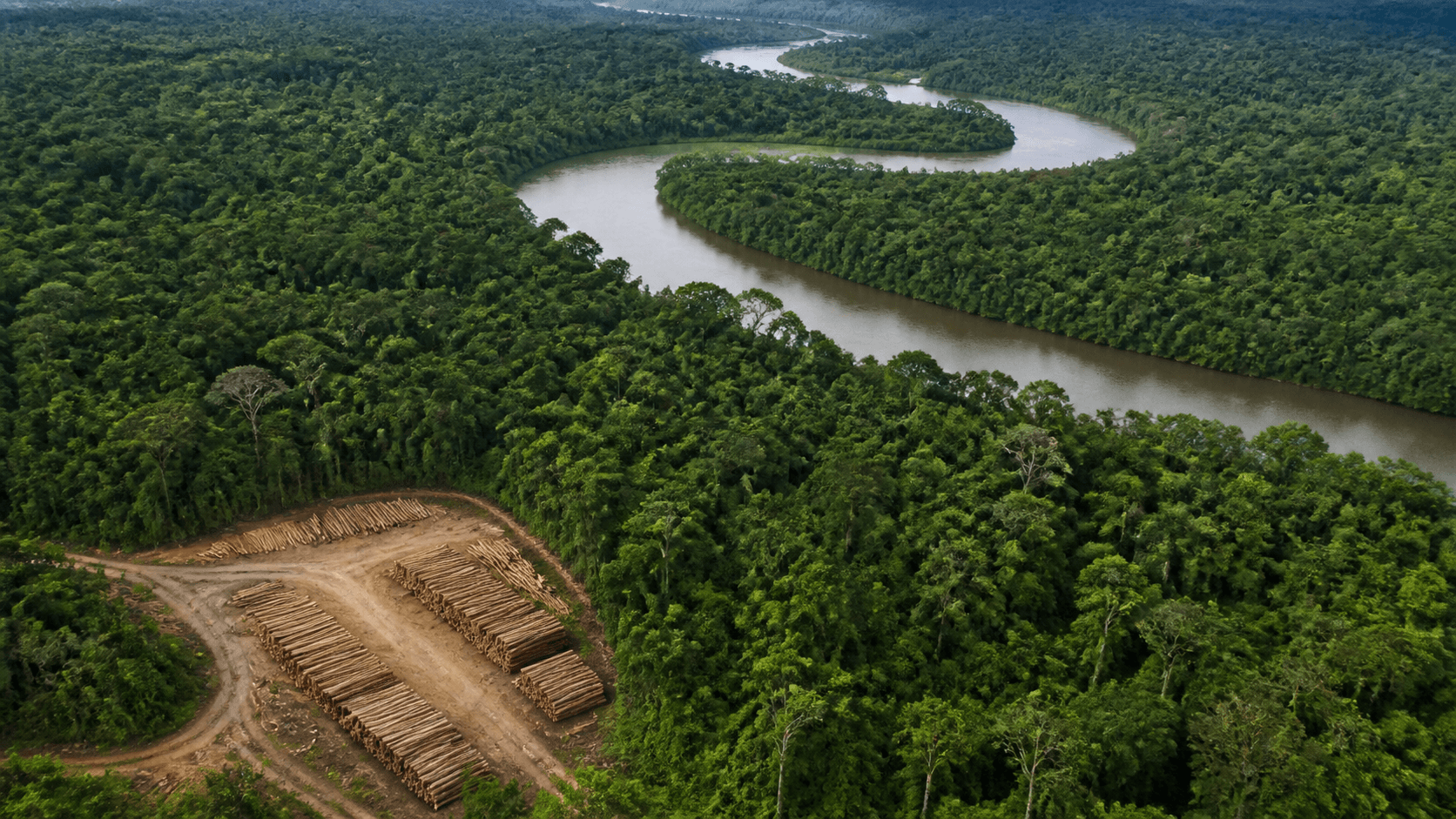BNDES e Acre firmam contrato para concessão de florestas estaduais