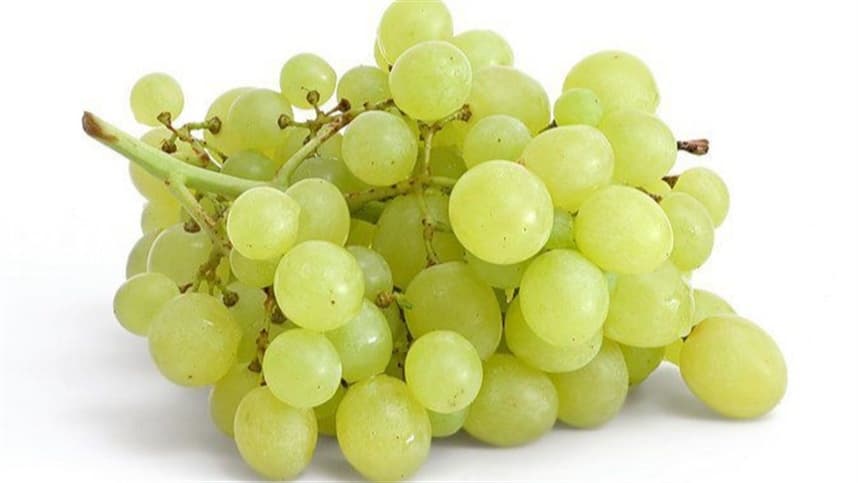 Desafios na Agricultura: Bioestimulantes são Solução para Fruticultores