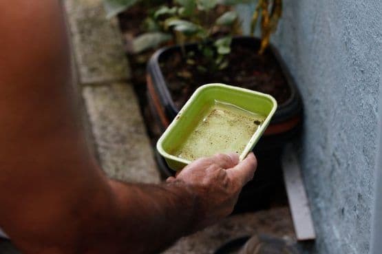 Epidemia de dengue é identificada em seis cidades da Bahia
