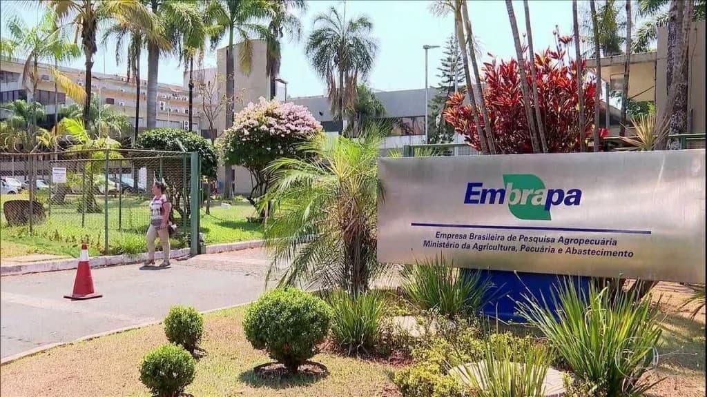 Embrapa registra lucro social de R$ 124,76 bilhões em 2025