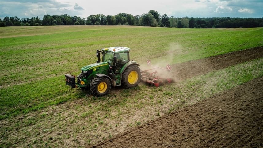 Sesbania melhora solo e produção de arroz, aponta Embrapa