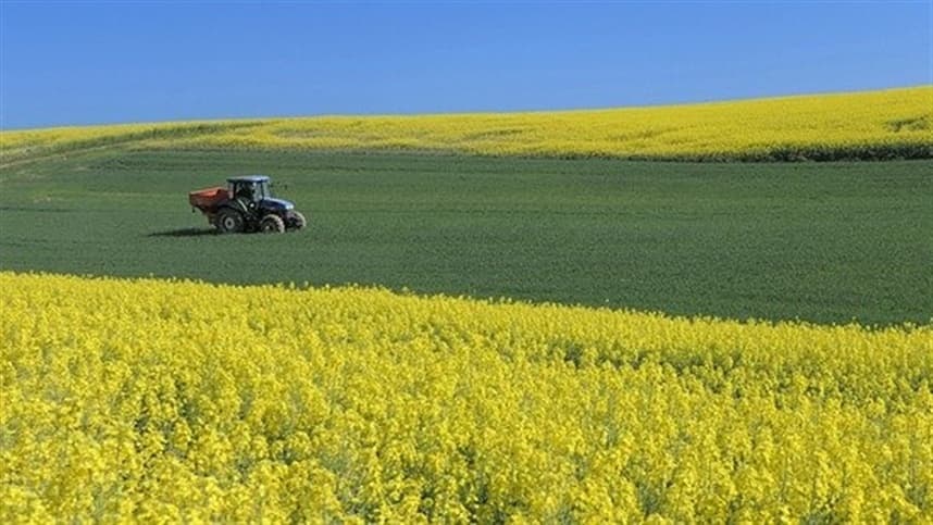 Produtores rurais devem entregar DITR até 30 de setembro de 2026