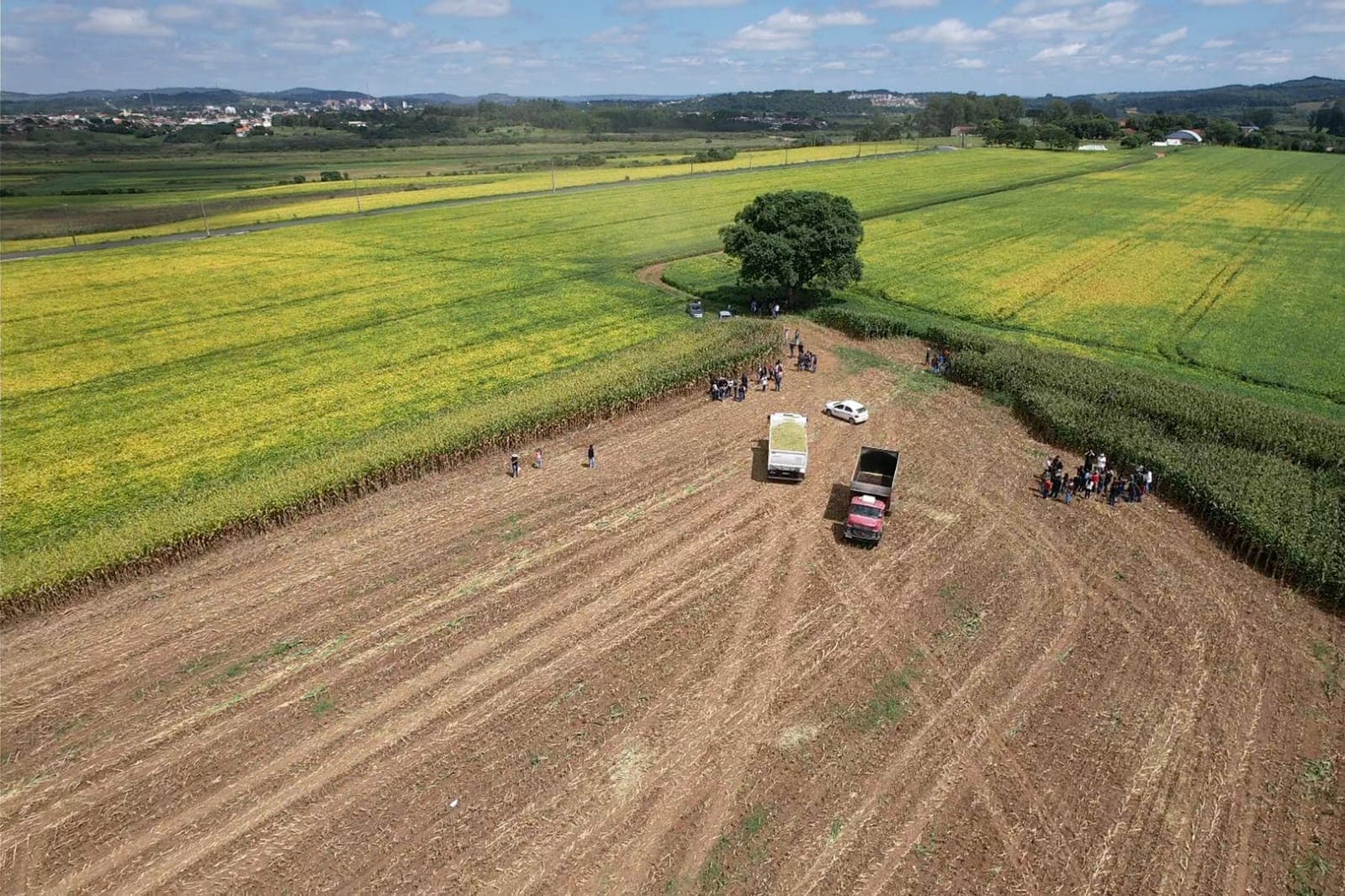 CNA revisará crescimento da agropecuária após PIB acima do esperado
