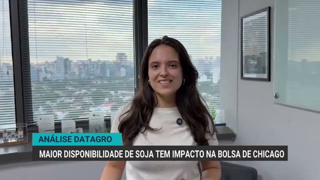 Colheita de soja e safrinha de milho afetam mercado em Chicago
