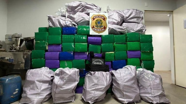 Polícia Federal apreende quase 2 toneladas de maconha em São Paulo