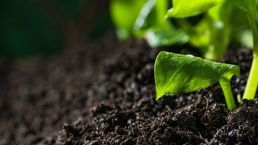 Dia Nacional da Conservação do Solo destaca manejo sustentável para produção