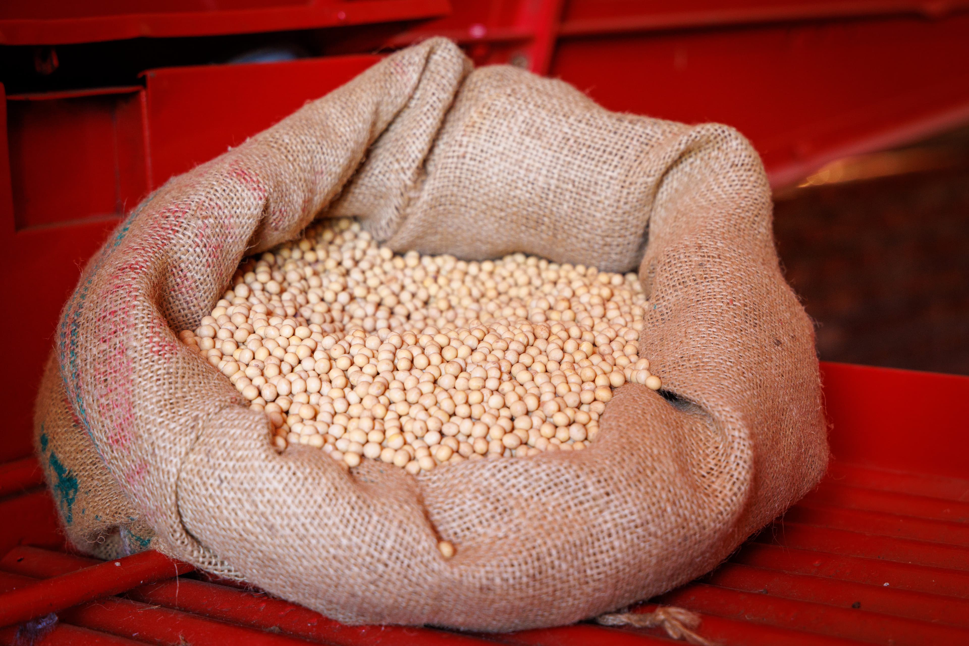 Produtores dos EUA Planejam Aumentar Plantio de Soja Apesar da Alta de Insumos