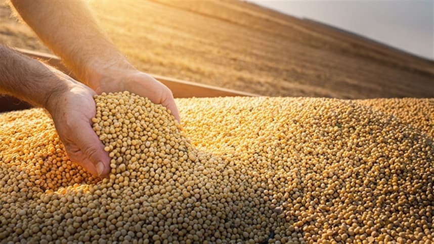 Expectativa de impacto no mercado com a atualização do USDA hoje