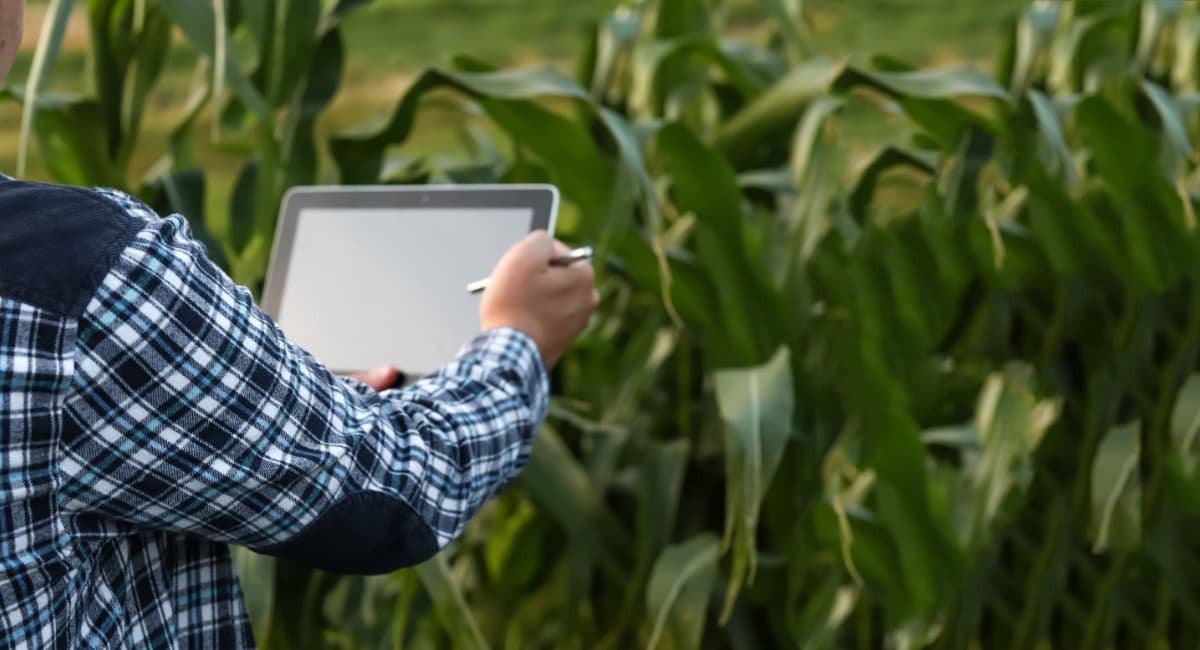Rural lança pesquisa para avaliar adoção de tecnologias no agro