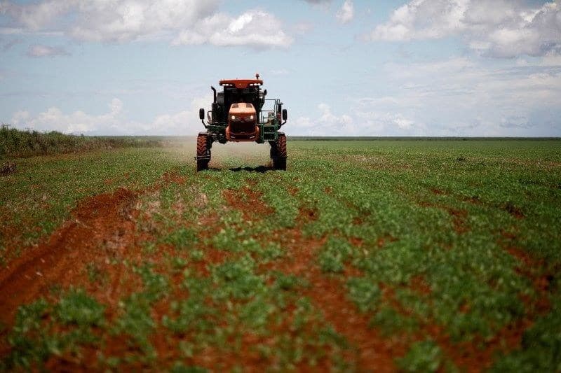 Índice de Poder de Compra de Fertilizantes mostra melhora em julho