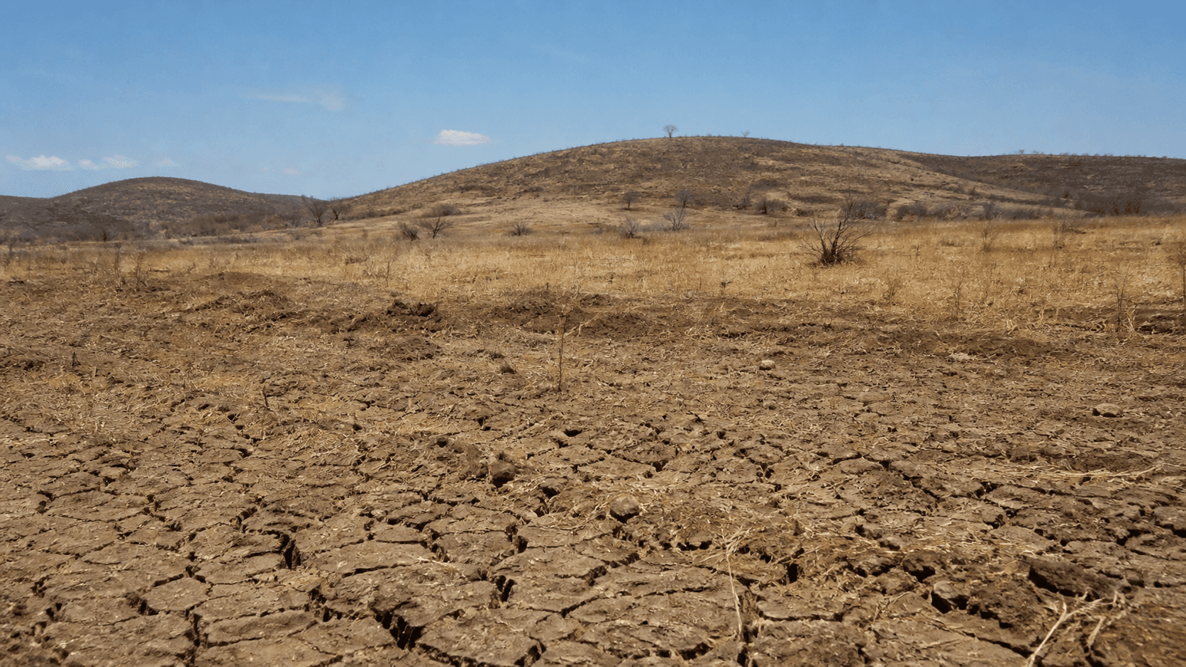 COP17 em Ulaanbaatar aborda degradação de terras e resiliência hídrica
