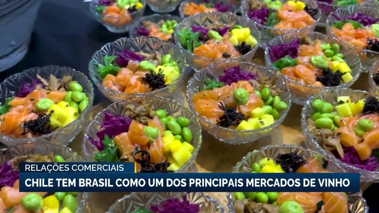 Vinhos chilenos ganham destaque no Brasil com novos rótulos