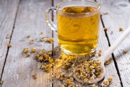 Chá de boldo: 6 receitas para melhorar a digestão