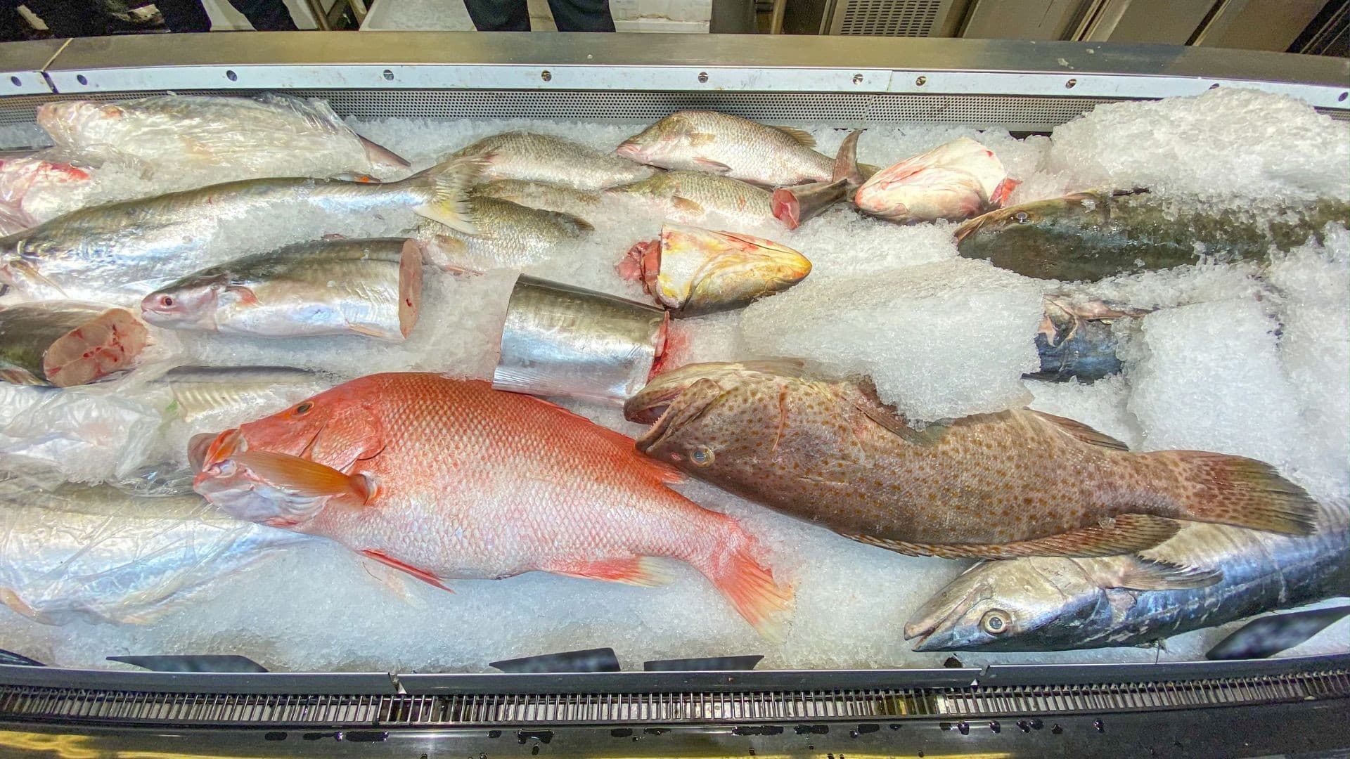 União Europeia auditará controle de pescado brasileiro para reabertura do mercado