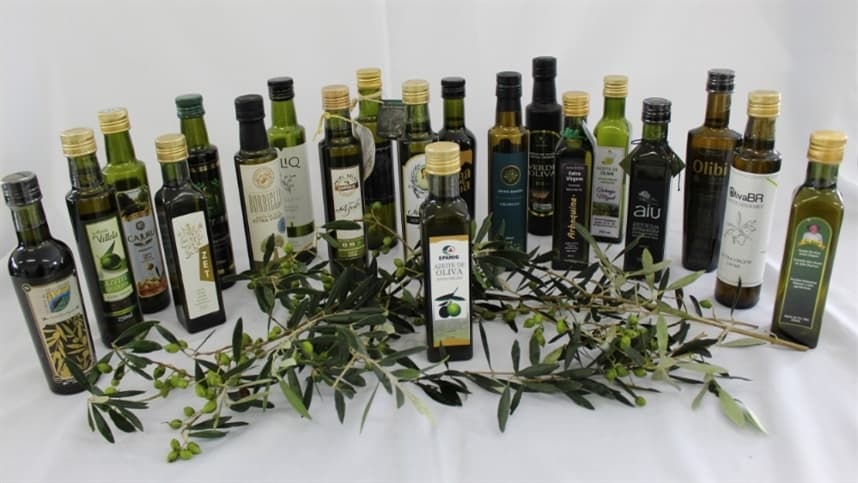 Maria da Fé recebe a 7ª Festa do Azeite Novo com programação variada