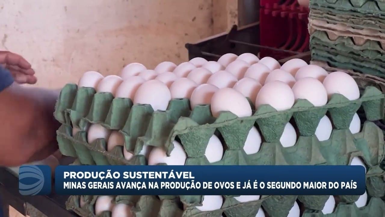 Minas Gerais se destaca como segundo maior produtor de ovos do Brasil