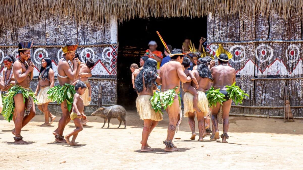 Estudo na Amazônia revela baixa prevalência de demência entre indígenas Tsimané e Mosetén