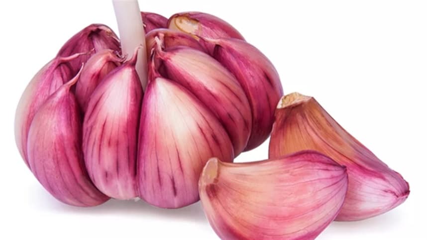 Mercado de alho na América do Sul sofre com concorrência extrema