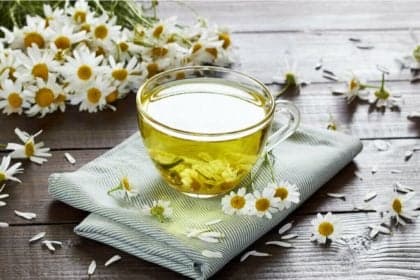 Dia Internacional do Chá destaca benefícios para saúde digestiva