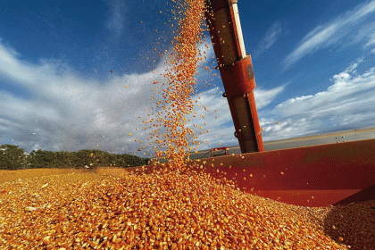 Norma do Prodes impede crédito rural sem aviso ao produtor