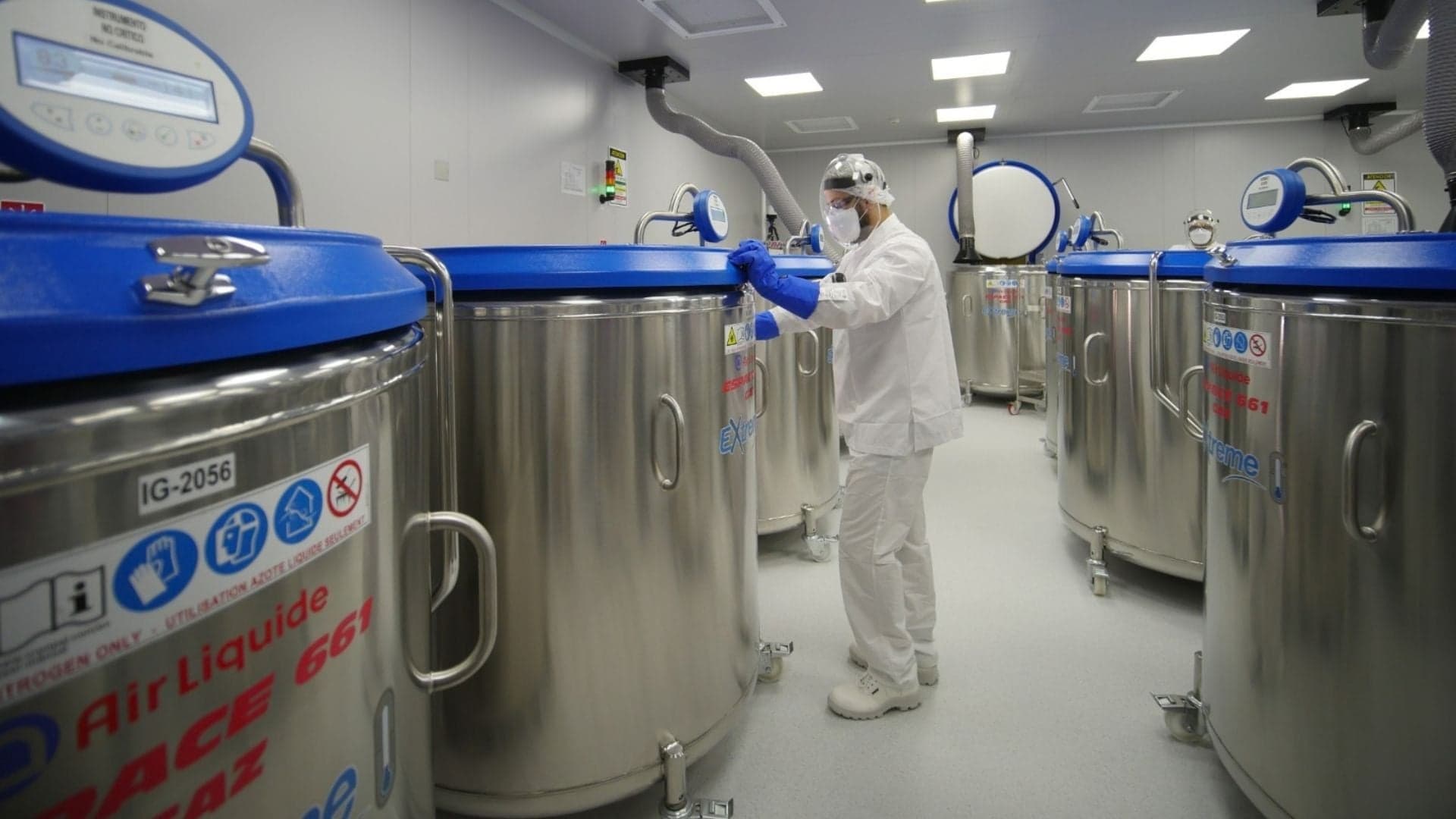 Brasil estabelecerá banco de antígenos para vacinas contra febre aftosa