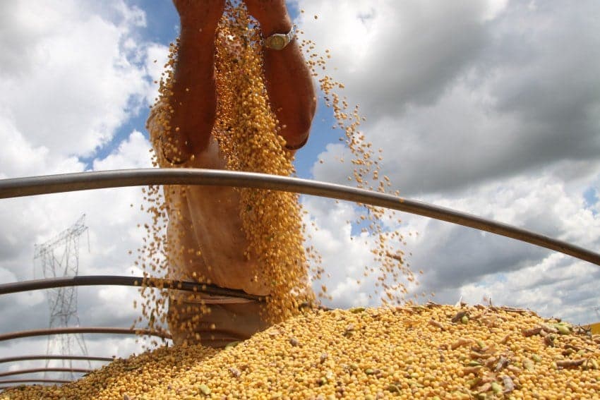Soja impulsiona economia do Paraná com exportações recordes