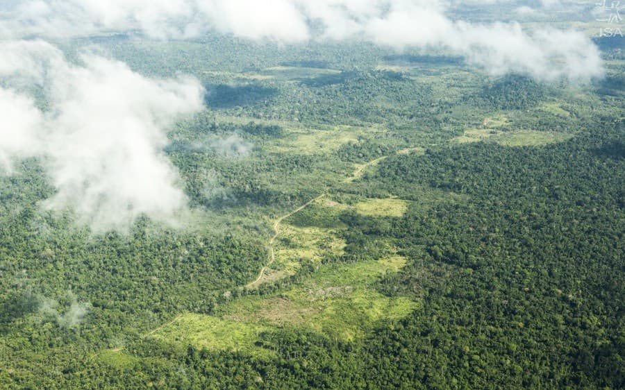 STF determina plano para desocupação de terra indígena em Pará