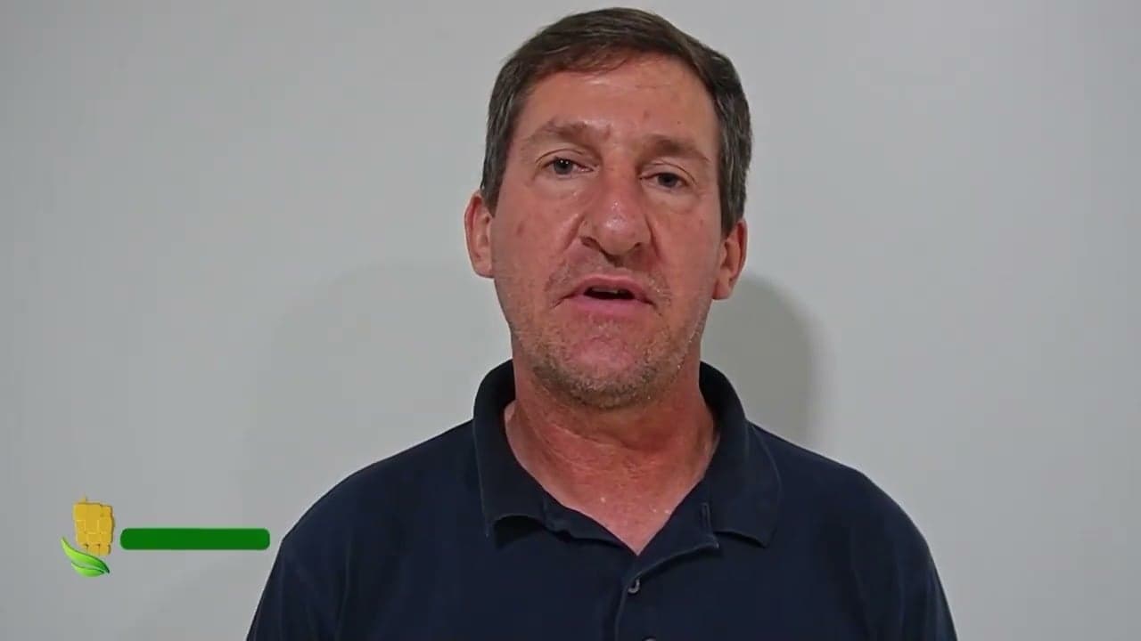 Atraso no plantio de milho em Mato Grosso gera apreensão entre produtores