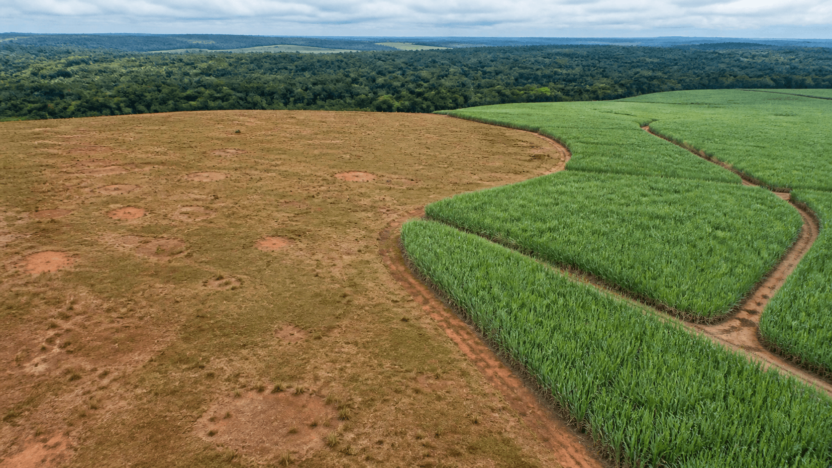 Agroterenas e Itaú BBA estruturam R$ 160 milhões para recuperação ambiental