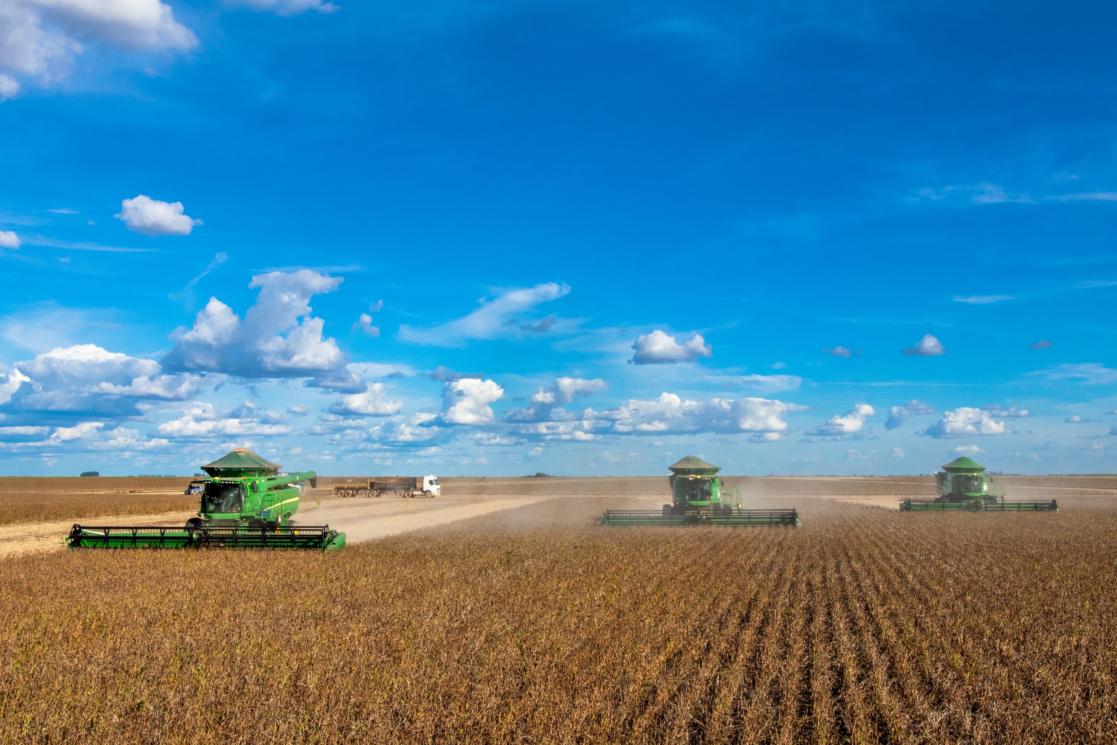 Colheita de soja no Brasil atinge 98,8% da área cultivada