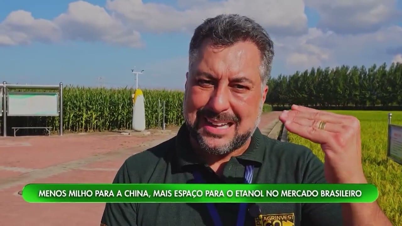 Produção de milho no Brasil busca novos mercados devido a redução nas importações da China