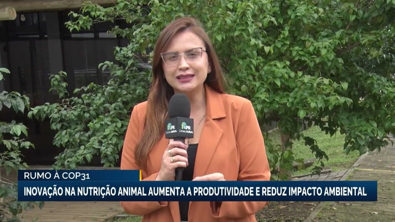 Brasil deve exportar 10 milhões de toneladas de carnes em 2023